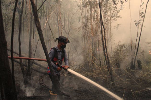 Wildfires fueled by El Nino affect Indonesia PALEMBANG, INDONESIA - SEPTEMBER 16: An Indonesian firefighter tries to extinguish a wildfire near resident area in Sematang Borang district of Palembang, South Sumatra, Indonesia, on September 16, 2026. El Nino conditions are fueling wildfires across Indonesia, with around 113,336 cases of respiratory illness reported, according to health officials. Children under the age of 5 account for 26,545 cases, more than 20% of all recorded acute respiratory infection cases. Around 12.5 million people have been affected by wildfires, according to data from the Indonesian Health Ministry. Muhammad Fajri Anadolu Palembang Indonesia. Editorial use only. Please get in touch for any other usage. Copyright: x2026xAnadoluxMuhammadxFajrix