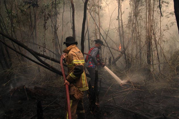 Wildfires fueled by El Nino affect Indonesia PALEMBANG, INDONESIA - SEPTEMBER 16: Indonesian firefighters try to extinguish a wildfire near resident area in Sematang Borang district of Palembang, South Sumatra, Indonesia, on September 16, 2026. El Nino conditions are fueling wildfires across Indonesia, with around 113,336 cases of respiratory illness reported, according to health officials. Children under the age of 5 account for 26,545 cases, more than 20% of all recorded acute respiratory infection cases. Around 12.5 million people have been affected by wildfires, according to data from the Indonesian Health Ministry. Muhammad Fajri Anadolu Palembang Indonesia. Editorial use only. Please get in touch for any other usage. Copyright: x2026xAnadoluxMuhammadxFajrix