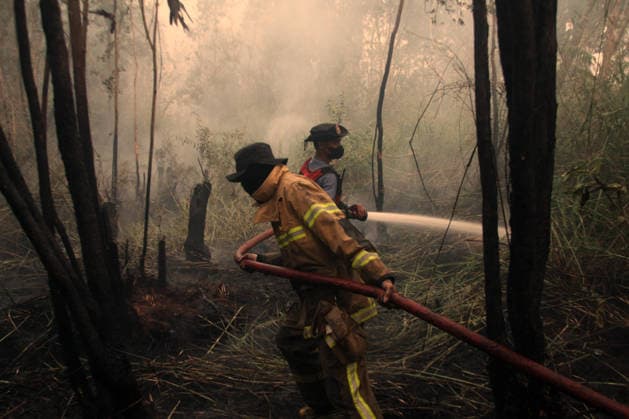 Wildfires fueled by El Nino affect Indonesia PALEMBANG, INDONESIA - SEPTEMBER 16: Indonesian firefighters try to extinguish a wildfire near resident area in Sematang Borang district of Palembang, South Sumatra, Indonesia, on September 16, 2026. El Nino conditions are fueling wildfires across Indonesia, with around 113,336 cases of respiratory illness reported, according to health officials. Children under the age of 5 account for 26,545 cases, more than 20% of all recorded acute respiratory infection cases. Around 12.5 million people have been affected by wildfires, according to data from the Indonesian Health Ministry. Muhammad Fajri Anadolu Palembang Indonesia. Editorial use only. Please get in touch for any other usage. Copyright: x2026xAnadoluxMuhammadxFajrix