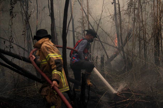 Wildfires fueled by El Nino affect Indonesia PALEMBANG, INDONESIA - SEPTEMBER 16: Indonesian firefighters try to extinguish a wildfire near resident area in Sematang Borang district of Palembang, South Sumatra, Indonesia, on September 16, 2026. El Nino conditions are fueling wildfires across Indonesia, with around 113,336 cases of respiratory illness reported, according to health officials. Children under the age of 5 account for 26,545 cases, more than 20% of all recorded acute respiratory infection cases. Around 12.5 million people have been affected by wildfires, according to data from the Indonesian Health Ministry. Muhammad Fajri Anadolu Palembang Indonesia. Editorial use only. Please get in touch for any other usage. Copyright: x2026xAnadoluxMuhammadxFajrix