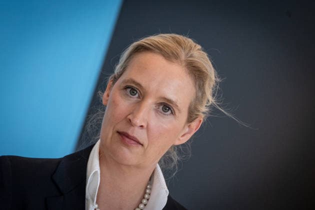 Alice Weidel, AfD-Partei- und Fraktionsvorsitzende;Pressestatement der beiden Parteivorsitzenden und Fraktionsvorsitzenden der AfD vor Beginn der Fraktionssitzung im Deutschen Bundestag, Berlin Berlin Deutschland Bundestag
