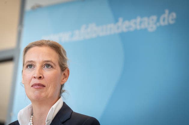 Alice Weidel, AfD-Partei- und Fraktionsvorsitzende;Pressestatement der beiden Parteivorsitzenden und Fraktionsvorsitzenden der AfD vor Beginn der Fraktionssitzung im Deutschen Bundestag, Berlin Berlin Deutschland Bundestag