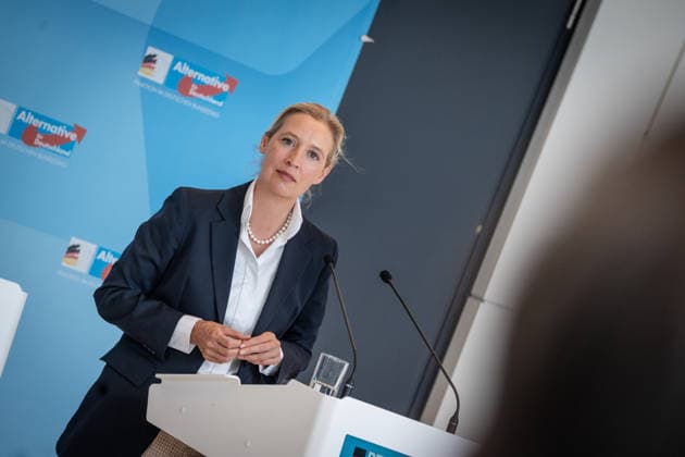 Alice Weidel, AfD-Partei- und Fraktionsvorsitzende;Pressestatement der beiden Parteivorsitzenden und Fraktionsvorsitzenden der AfD vor Beginn der Fraktionssitzung im Deutschen Bundestag, Berlin Berlin Deutschland Bundestag