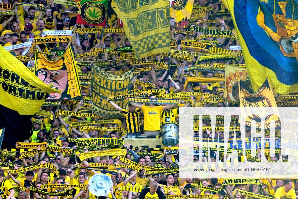 DORTMUND - Borussia Dortmund supporters ahead of the Bundesliga match between Borussia Dortmund and 1 FSV Mainz 05 at the Signal Iduna Park on May 27, 2023 in Dortmund, Germany. AP Dutch Height Bundesliga 2022 2023 ANPxSportx xGerritxvanxKeulenxIVx 470317338 originalFilename: 470317338
