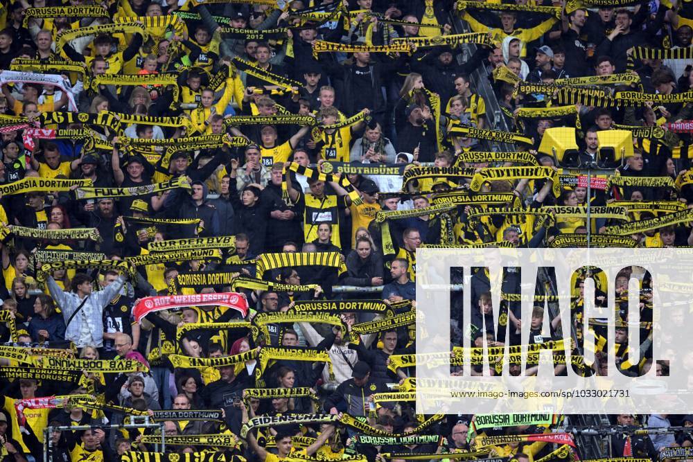 DORTMUND - Borussia Dortmund supporters during the friendly match between Borussia Dortmund and Ajax Amsterdam at Signal Iduna Park on August 6, 2023 in Dortmund, Germany. AP Dutch Height Pre-Season Friendly 2023 2024 ANPxSportx xGerritxvanxKeulenxIVx 475201543 originalFilename: 475201543