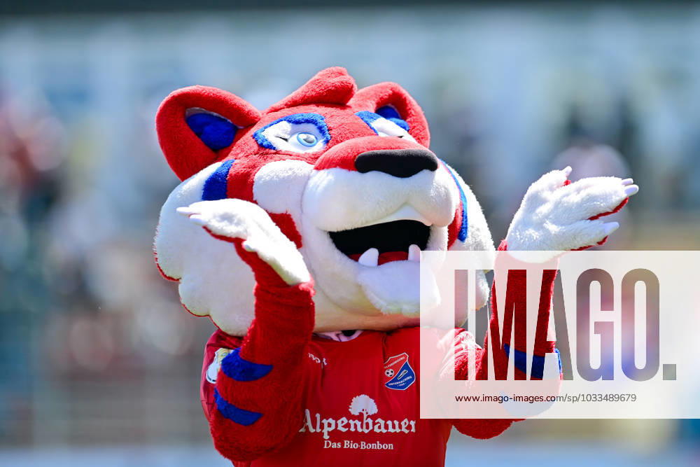 Unterhachinger Maskottchen FONSI feuert die Fans an, Einzelbild, Aktion, Action, 19.08.2023, Unterhaching (Deutschland), Fussball, 3. Liga, SpVgg Unterhaching - SSV ULM 1846 Fussball, DFB DFL REGULATIONS PROHIBIT ANY USE OF PHOTOGRAPHS AS IMAGE SEQUENCES AND OR QUASI-VIDEO.