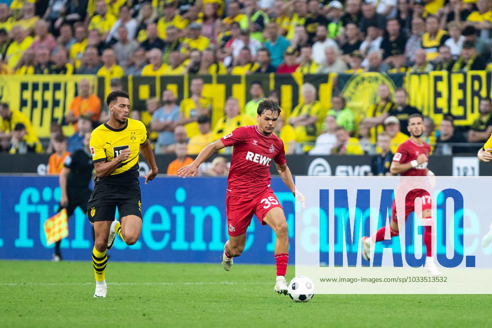 1.Bundesliga, 1.Spieltag: Borussia Dortmund - 1.FC Koeln, Dortmund, Signal Iduna Park, 19.08.2023 Max Finkgraefe (1. FC Koeln, 35) 1.Bundesliga, 1.Spieltag: Borussia Dortmund - 1.FC Koeln, Dortmund, Signal Iduna Park, 19.08.2023 DFL Regulations prohibit any of use of photographs as image sequences and quasi video