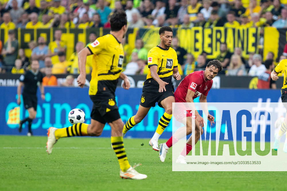 1.Bundesliga, 1.Spieltag: Borussia Dortmund - 1.FC Koeln, Dortmund, Signal Iduna Park, 19.08.2023 Max Finkgraefe (1. FC Koeln, 35) 1.Bundesliga, 1.Spieltag: Borussia Dortmund - 1.FC Koeln, Dortmund, Signal Iduna Park, 19.08.2023 DFL Regulations prohibit any of use of photographs as image sequences and quasi video