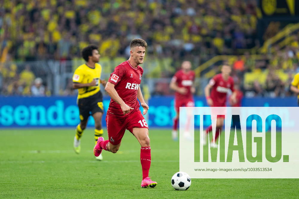 1.Bundesliga, 1.Spieltag: Borussia Dortmund - 1.FC Koeln, Dortmund, Signal Iduna Park, 19.08.2023 Rasmus Carstensen (1. FC Koeln) 1.Bundesliga, 1.Spieltag: Borussia Dortmund - 1.FC Koeln, Dortmund, Signal Iduna Park, 19.08.2023 DFL Regulations prohibit any of use of photographs as image sequences and quasi video