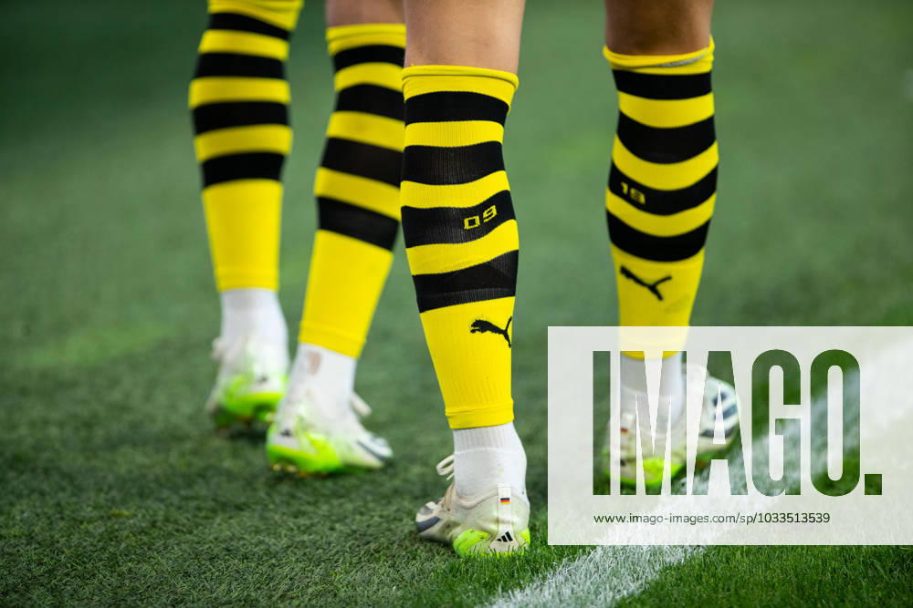 1.Bundesliga, 1.Spieltag: Borussia Dortmund - 1.FC Koeln, Dortmund, Signal Iduna Park, 19.08.2023 1.Bundesliga, 1.Spieltag: Borussia Dortmund - 1.FC Koeln, Dortmund, Signal Iduna Park, 19.08.2023 DFL Regulations prohibit any of use of photographs as image sequences and quasi video