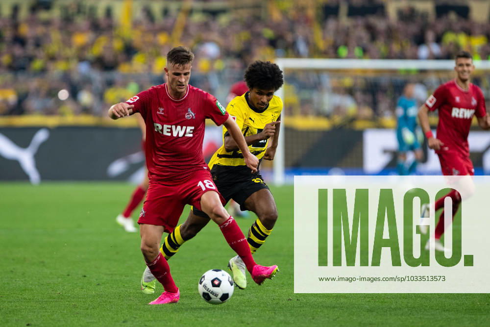 1.Bundesliga, 1.Spieltag: Borussia Dortmund - 1.FC Koeln, Dortmund, Signal Iduna Park, 19.08.2023 Rasmus Carstensen (1. FC Koeln) 1.Bundesliga, 1.Spieltag: Borussia Dortmund - 1.FC Koeln, Dortmund, Signal Iduna Park, 19.08.2023 DFL Regulations prohibit any of use of photographs as image sequences and quasi video
