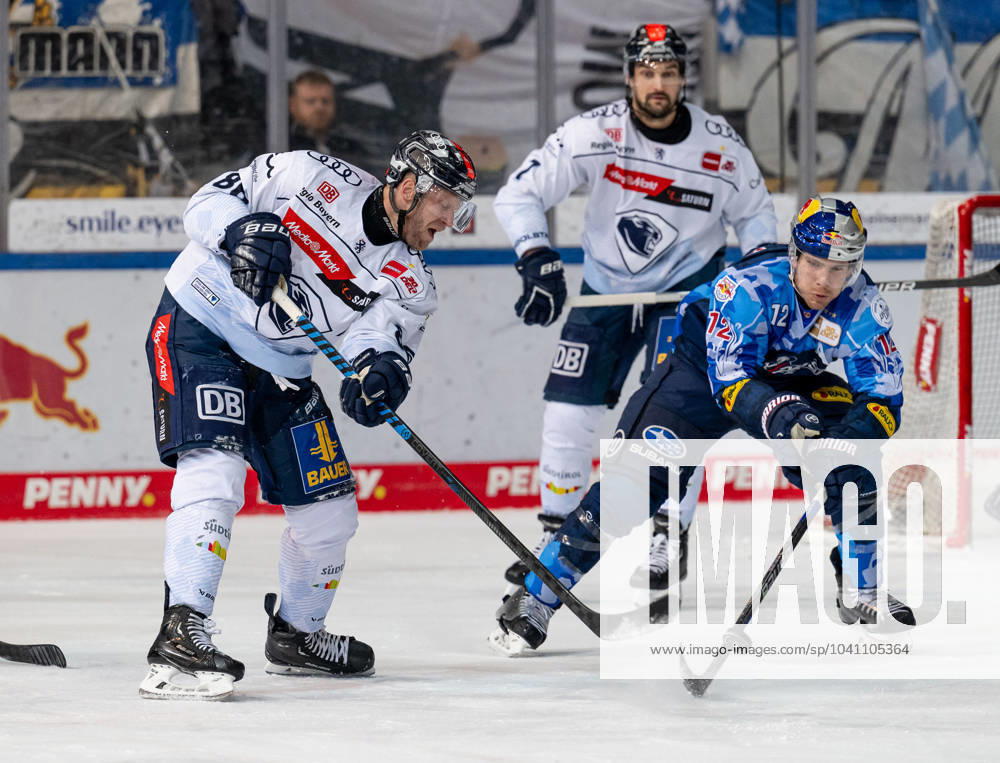 Kampf um den Puck Zweikampf zwischen Daniel Pietta (ERC Ingolstadt Panther, 86) und Ben Smith (EHC Red Bull Muenchen, 12). EHC Red Bull Muenchen gegen ERC Ingolstadt, Eishockey, DEL, 48. Spieltag, Saison 2023 2024, 23.02.2024. EHC Red Bull Muenchen gegen ERC Ingolstadt, Eishockey, DEL, 48. Spieltag, Saison 2023 2024, 23.02.2024. Muenchen