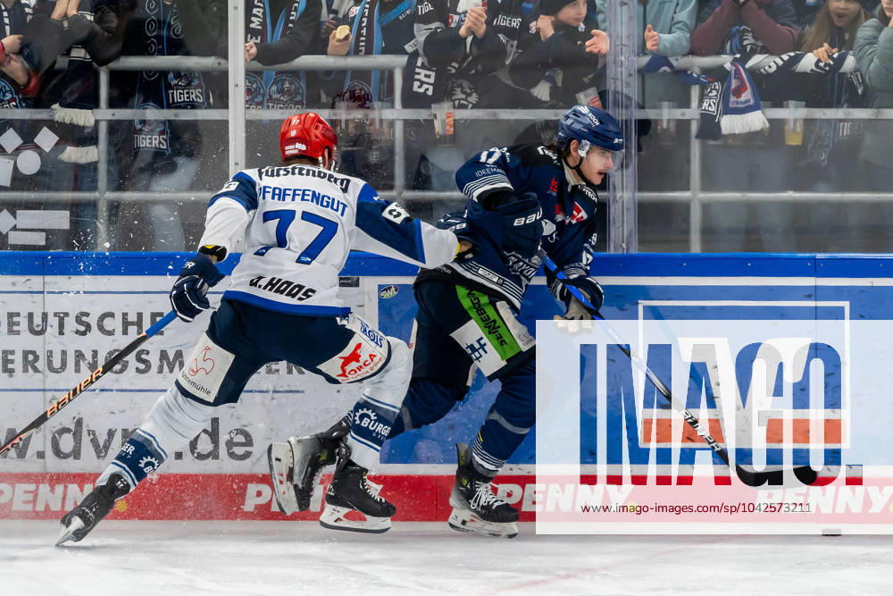 Kampf um den Puck Zweikampf zwischen Daniel Pfaffengut (Schwenninger Wild Wings, 77) und Adrian Klein (Straubing Tigers, 17). Straubing Tigers gegen Schwenninger Wild Wings, Eishockey, DEL, Playoffs Viertelfinale Spiel 1, Saison 2023 2024, 16.03.2024. Straubing Tigers gegen Schwenninger Wild Wings, Eishockey, DEL, Playoffs Viertelfinale Spiel 1, Saison 2023 2024, 16.03.2024. Straubing