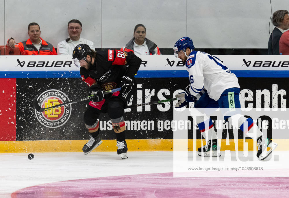Kampf um den Puck Zweikampf zwischen Daniel Pfaffengut (Team Deutschland, 81) und Robert Lantosi (Team Slowakei, 16). GER, Deutschland vs. Slowakei, Eishockey, Testspiel, WM-Vorbereitung 2024, 18.04.2024. GER, Deutschland vs. Slowakei, Eishockey, Testspiel, WM-Vorbereitung 2024, 18.04.2024. Kaufbeuren