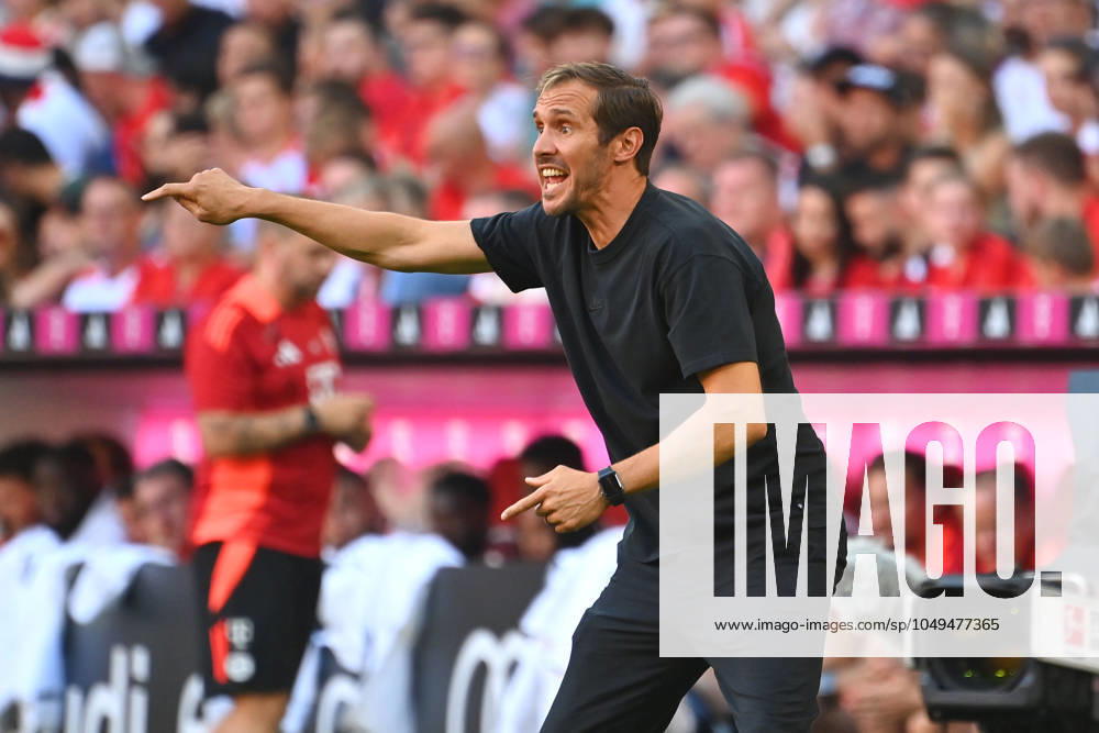 Trainer Julian SCHUSTER (SC Freiburg), Gestik,gibt Anweisungen, Einzelbild,angeschnittenes Einzelmotiv,Halbfigur,halbe Figur. Fussball 1. Bundesliga Saison 2024 2025, 2.Spieltag, Spieltag02 FC Bayern Muenchen - SC Freiburg 2-0 am 01.09.2024, A L L I A N Z A R E N A.