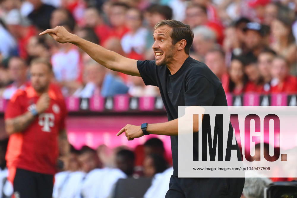 Trainer Julian SCHUSTER (SC Freiburg), Gestik,gibt Anweisungen, Einzelbild,angeschnittenes Einzelmotiv,Halbfigur,halbe Figur. Fussball 1. Bundesliga Saison 2024 2025, 2.Spieltag, Spieltag02 FC Bayern Muenchen - SC Freiburg 2-0 am 01.09.2024, A L L I A N Z A R E N A.