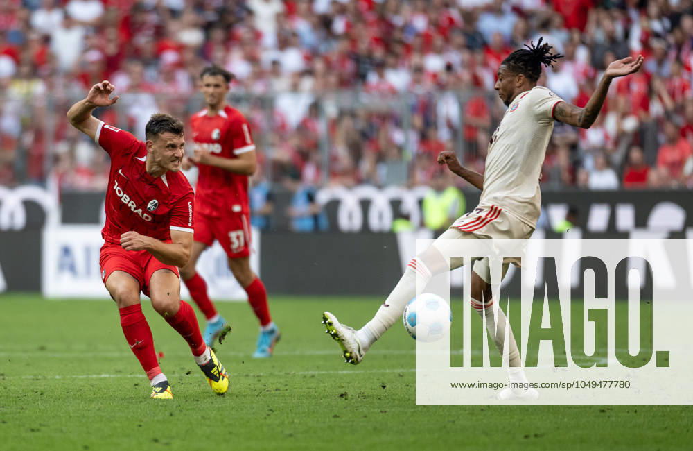Maximilian Eggestein (SC Freiburg, 8) und Michael Olise (FC Bayern Muenchen, 17). GER, FC Bayern Muenchen gegen SC Freiburg Fussball, Bundesliga, 2. Spieltag, Spielzeit 2024 2025, 01.09.2024. . GER, FC Bayern Muenchen gegen SC Freiburg Fussball, Bundesliga, 2. Spieltag, Spielzeit 2024 2025, 01.09.2024. Muenchen