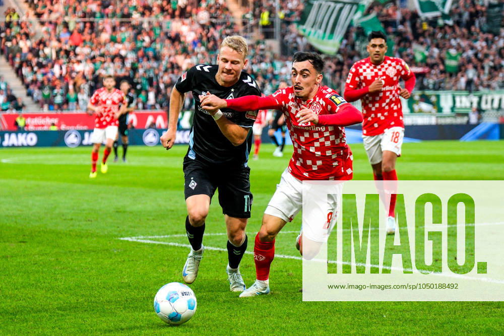 Marco Gruell (SV Werder Bremen, 17) im Zweikampf mit Paul Nebel (1. FSV Mainz 05, 08), GER, 1. FSV Mainz 05 vs. SV Werder Bremen, Fussball, 1. Bundesliga, 3. Spieltag, Spielzeit 2024 2025, 15.09.2024. . GER, 1. FSV Mainz 05 vs. SV Werder Bremen, Fussball, 1. Bundesliga, 3. Spieltag, Spielzeit 2024 2025, 15.09.2024. Mainz