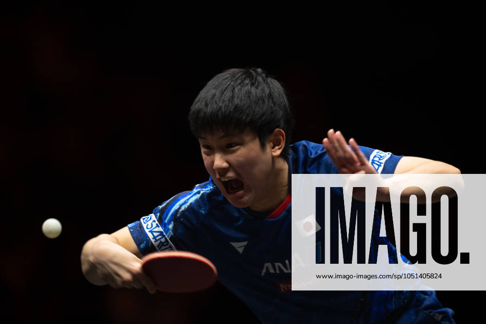 (241003) -- BEIJING, Oct. 3, 2024 -- Harimoto Tomokazu of Japan hits a return to Truls Moregard of Sweden during the men s singles round of 16 match at 2024 World Table tennis, Tischtennis (WTT) China Smash in Beijing, China, Oct. 3, 2024. ) (SP)CHINA-BEIJING-TABLE TENNIS-WTT-CHINA SMASH-MEN S SINGLES (CN) XiaoxYijiu