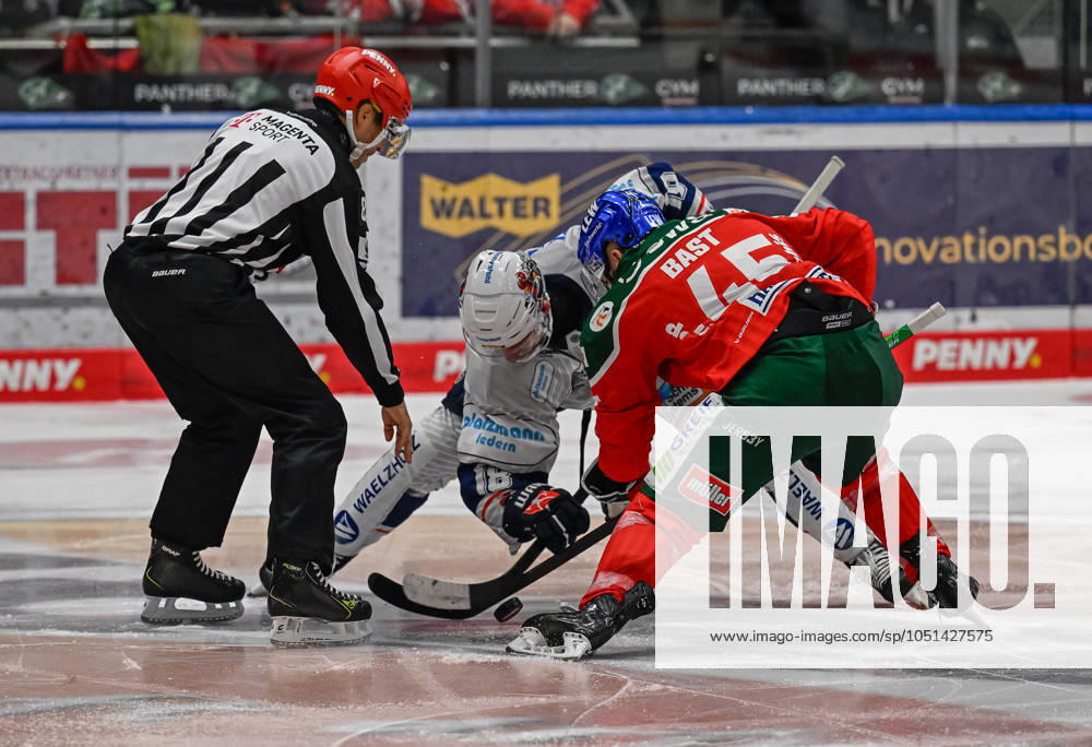 Linesperson David Tschirner fuehrt ein Bully aus zwischen Eric Cornel (Iserlohn Roosters, 18) und Jason Bast (Augsburger Panther, 45). GER, Augsburger Panther gegen Iserlohn Roosters, Eishockey, DEL, 5. Spieltag, Saison 2024 2025, 02.10.2024. GER, Augsburger Panther gegen Iserlohn Roosters, Eishockey, DEL, 5. Spieltag, Saison 2024 2025, 02.10.2024. Augsburg