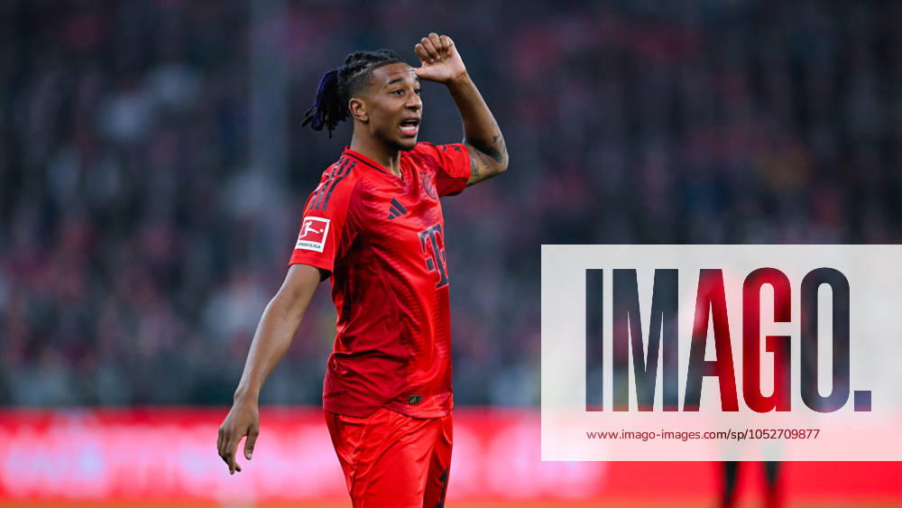 Michael Olise (FC Bayern Muenchen) gestikuliert, Bundesliga, FC Bayern München v VfB Stuttgart, Allianz Arena am 19. October 2024 in München, Deutschland. (Foto von Silas Schueller DeFodi Images) Michael Olise (FC Bayern Muenchen) gestures, Bundesliga, FC Bayern München v VfB Stuttgart, Allianz Arena on October 19, 2024 in Munich, Germany. (Photo by Silas Schueller DeFodi Images) DFL regulations prohibit any use of photographs as image sequences and or quasi-video. not used in POL SRB CRO FRA GBR NED ITA USA Defodi-738_738_BAYVFB_20241019_958