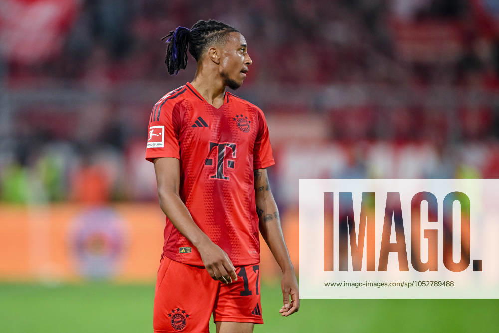 Michael Olise (FC Bayern Muenchen) Schaut waehrend des Spiels der 1. Bundesliga zwischen FC Bayern München und VfB Stuttgart, Allianz Arena am 19. October 2024 in München, Deutschland. (Foto von Harry Langer DeFodi Images) +++ Michael Olise (FC Bayern Muenchen) Looks on during the Bundesliga match between FC Bayern München and VfB Stuttgart at Allianz Arena on October 19, 2024 in Munich, Germany. (Photo by Harry Langer DeFodi Images) DFL regulations prohibit any use of photographs as image sequences and or quasi-video. not used in POL SRB CRO FRA GBR NED ITA USA Defodi-541_FCBVFB20241019_336