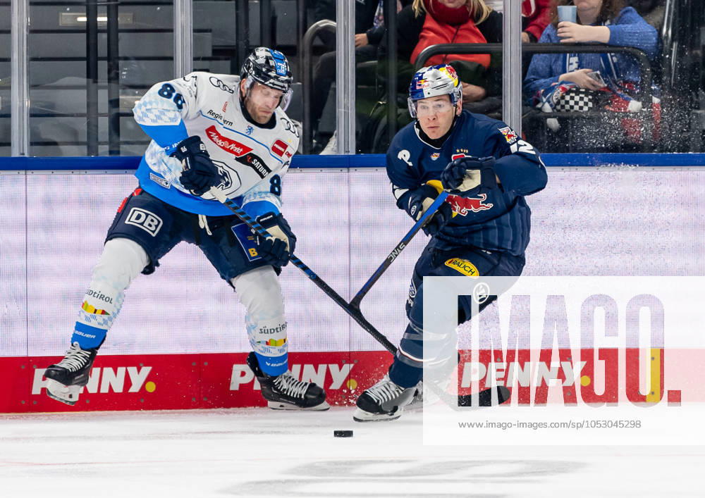 Kampf um den Puck Zweikampf zwischen Daniel Pietta (ERC Ingolstadt Panther, 86) und Ben Smith (EHC Red Bull Muenchen, 12). GER, EHC Red Bull Muenchen vs. ERC Ingolstadt Panther, Eishockey, DEL, 13. Spieltag, Saison 2024 2025, 27.10.2024. GER, EHC Red Bull Muenchen vs. ERC Ingolstadt Panther, Eishockey, DEL, 13. Spieltag, Saison 2024 2025, 27.10.2024. Muenchen