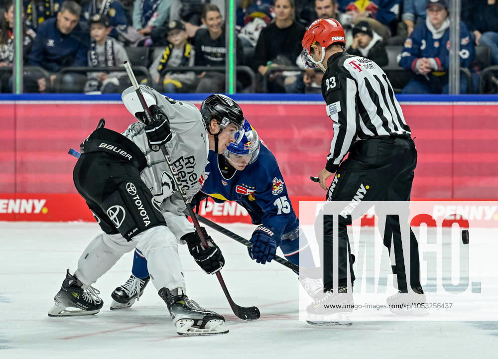 Linesperson David Tschirner fuehrt ein Bully Faceoff aus zwischen Louis-Marc Aubry (Koelner Haie, 15) und Nikolaus Heigl (EHC Red Bull Muenchen, 15). GER, EHC Red Bull Muenchen vs. Koelner Haie, Eishockey, DEL, 14. Spieltag, Saison 2024 2025, 01.11.2024. GER, EHC Red Bull Muenchen vs. Koelner Haie, Eishockey, DEL, 14. Spieltag, Saison 2024 2025, 01.11.2024. Muenchen