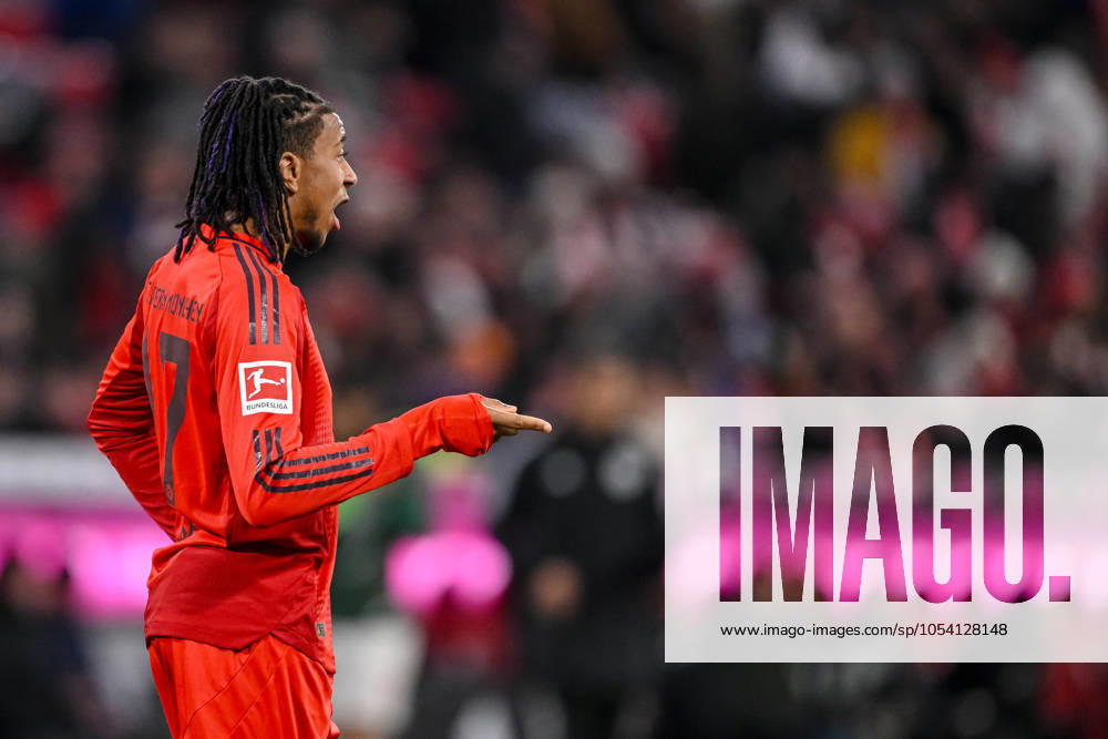 Michael Olise (FC Bayern Muenchen) gestikuliert, gestik waehrend des Spiels der 1. Bundesliga zwischen FC Bayern München und FC Augsburg, Allianz Arena am 22. November 2024 in München, Deutschland. (Foto von Harry Langer DeFodi Images) +++ Michael Olise (FC Bayern Muenchen) gestures during the Bundesliga match between FC Bayern München and FC Augsburg at Allianz Arena on November 22, 2024 in Munich, Germany. (Photo by Harry Langer DeFodi Images) DFL regulations prohibit any use of photographs as image sequences and or quasi-video. Defodi-541_FCBFCA20241122_342