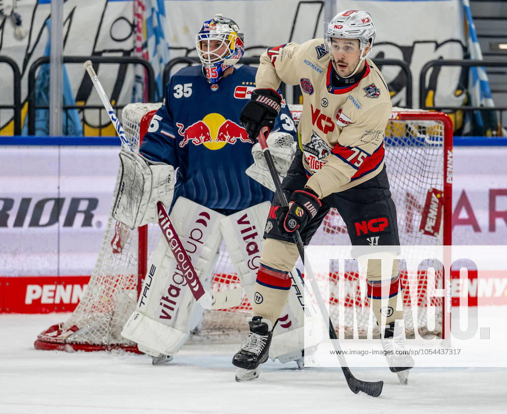 Samuel Dove-McFalls (Nuernberg Ice Tigers, 75) vor Mathias Niederberger (Torwart, EHC Red Bull Muenchen, 35). GER, EHC Red Bull Muenchen vs. Nuernberg Ice Tigers, Eishockey, DEL, 21. Spieltag, Saison 2024 2025, 28.11.2024. GER, EHC Red Bull Muenchen vs. Nuernberg Ice Tigers, Eishockey, DEL, 21. Spieltag, Saison 2024 2025, 28.11.2024. Muenchen