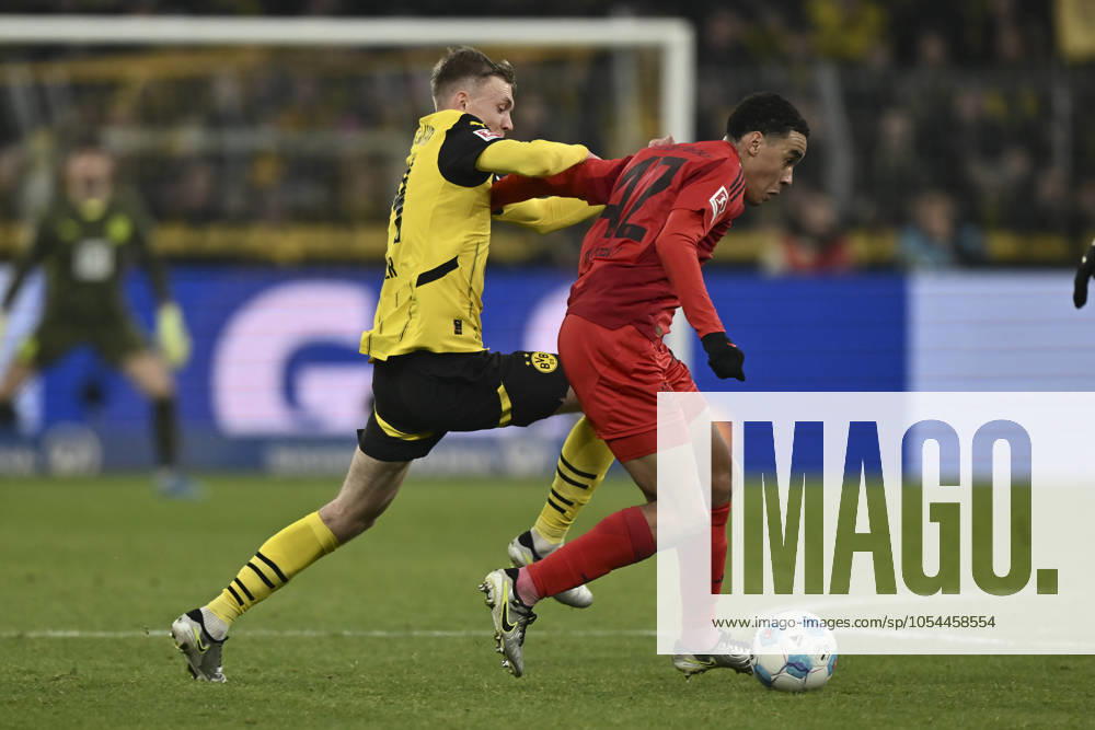 V. li. im Zweikampf Maximilian Beier (Dortmund 14) Jamal Musiala (Muenchen 42) 30.11.2024 Fussball Borussia Dortmund vs FC Bayern Muenchen, Signal Iduna Park, Dortmund, DFB DFL REGULATIONS PROHIBIT ANY USE OF PHOTOGRAPHS AS IMAGE SEQUENCES AND OR QUASI-VIDEO NRW Germany