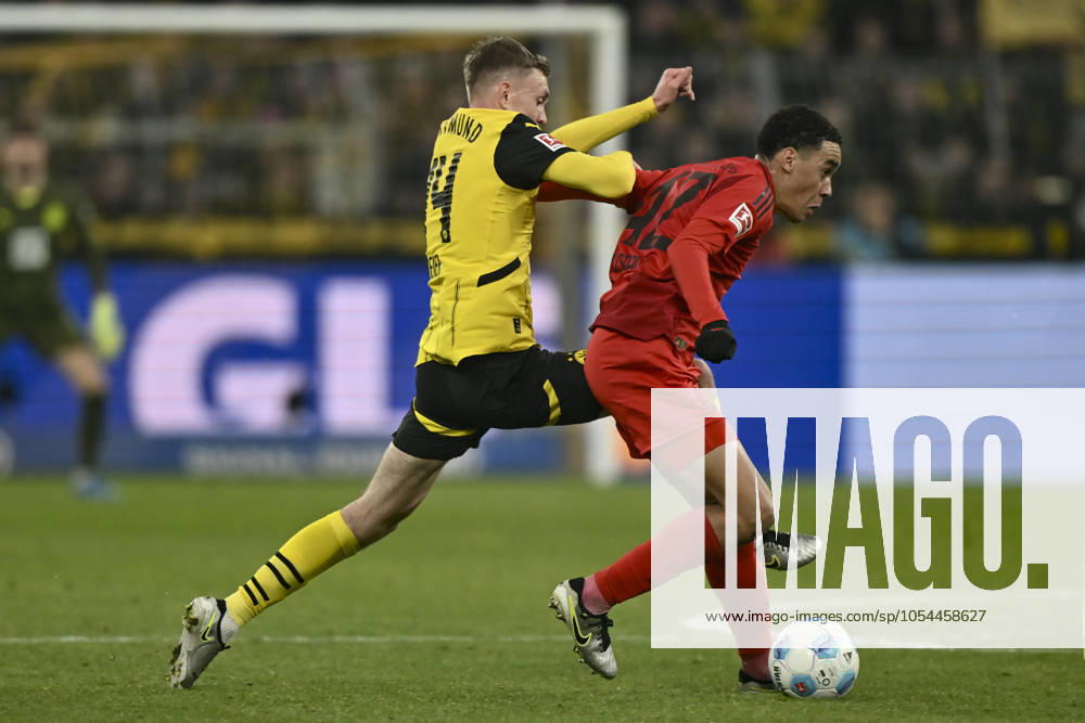 V. li. im Zweikampf Maximilian Beier (Dortmund 14) Jamal Musiala (Muenchen 42) 30.11.2024 Fussball Borussia Dortmund vs FC Bayern Muenchen, Signal Iduna Park, Dortmund, DFB DFL REGULATIONS PROHIBIT ANY USE OF PHOTOGRAPHS AS IMAGE SEQUENCES AND OR QUASI-VIDEO NRW Germany