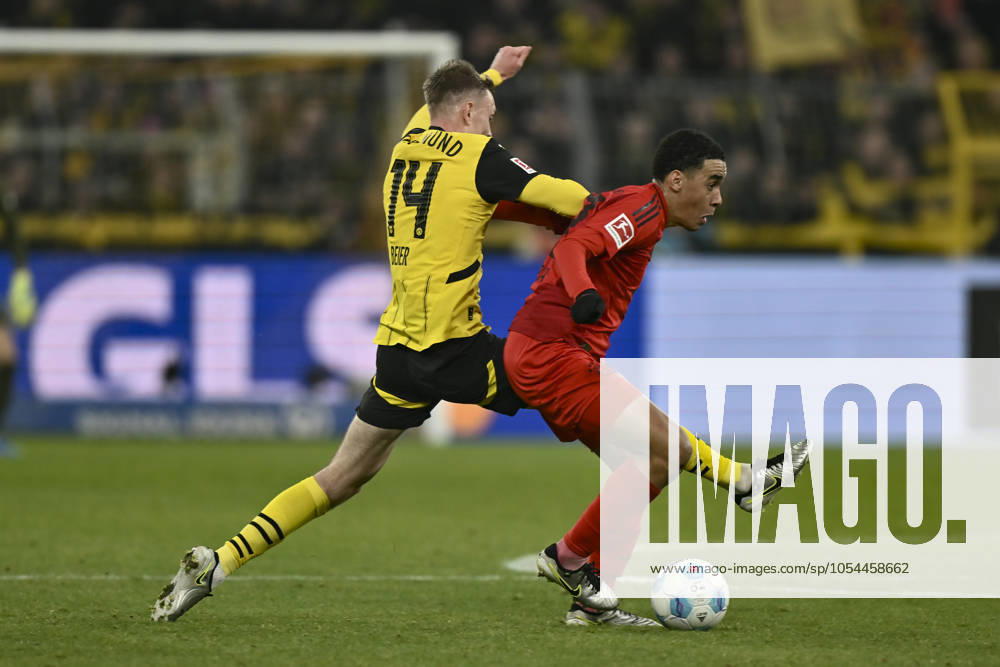 V. li. im Zweikampf Maximilian Beier (Dortmund 14) Jamal Musiala (Muenchen 42) 30.11.2024 Fussball Borussia Dortmund vs FC Bayern Muenchen, Signal Iduna Park, Dortmund, DFB DFL REGULATIONS PROHIBIT ANY USE OF PHOTOGRAPHS AS IMAGE SEQUENCES AND OR QUASI-VIDEO NRW Germany