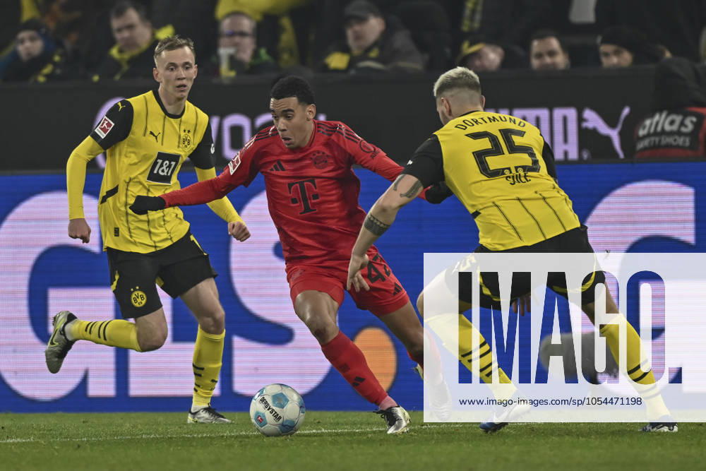 V. li. im Kampf um den Ball Maximilian Beier (Dortmund 14) Jamal Musiala (Muenchen 42) Niklas Süle Suele (Dortmund 25) 30.11.2024 Fussball Borussia Dortmund vs FC Bayern Muenchen, Signal Iduna Park, Dortmund, DFB DFL REGULATIONS PROHIBIT ANY USE OF PHOTOGRAPHS AS IMAGE SEQUENCES AND OR QUASI-VIDEO NRW Germany