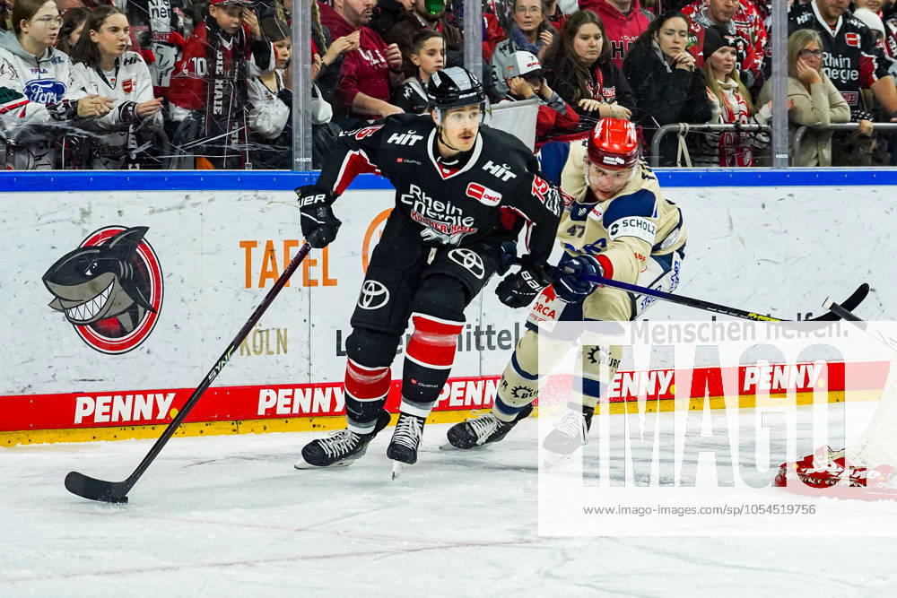 Eishockey Penny-DEL 22.Spieltag Kölner Haie - Schwenninger Wild Wings am 01.12.2024 in der Lanxess Arena in Köln Louis-Marc Aubry ( Köln ), links - Alexander Karachun ( Schwenningen ), rechts Gemäß den Vorgaben der DEL Deutsche Eishockey Liga ist die Publikation und Weiterverwertung der Aufnahmen in elektronischen Medien und Endgeräten aller Art während des laufenden Spiels nicht zulässig.