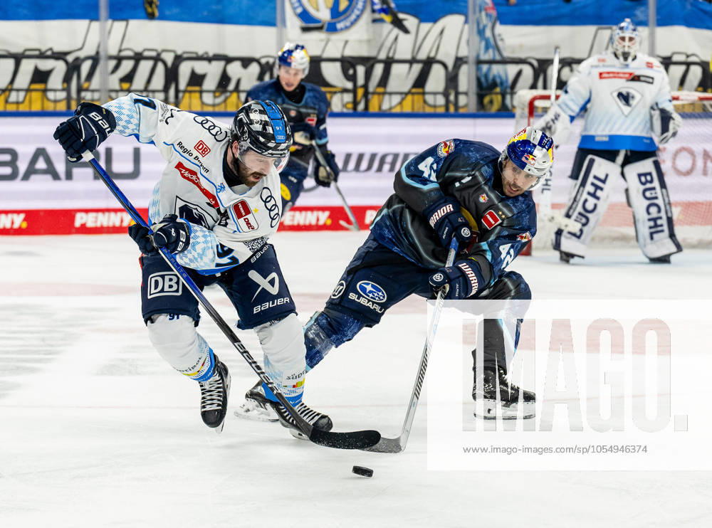 Kampf um den Puck Zweikampf zwischen Riley Sheen (ERC Ingolstadt Panther, 91) und Yasin Ehliz (EHC Red Bull Muenchen, 42). GER, EHC Red Bull Muenchen vs. ERC Ingolstadt, Eishockey, DEL, 24. Spieltag, Saison 2024 2025, 08.12.2024. GER, EHC Red Bull Muenchen vs. ERC Ingolstadt, Eishockey, DEL, 24. Spieltag, Saison 2024 2025, 08.12.2024. Muenchen