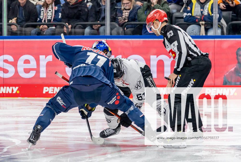 Linesperson David Tschirner fuehrt ein Bully Faceoff aus zwischen Markus Eisenschmid (EHC Red Bull Muenchen, 11) und Andy Miele (Grizzlys Wolfsburg, 51). GER, EHC Red Bull Muenchen vs. Grizzlys Wolfsburg, Eishockey, DEL, 32. Spieltag, Saison 2024 2025, 30.12.2024. GER, EHC Red Bull Muenchen vs. Grizzlys Wolfsburg, Eishockey, DEL, 32. Spieltag, Saison 2024 2025, 30.12.2024. Muenchen