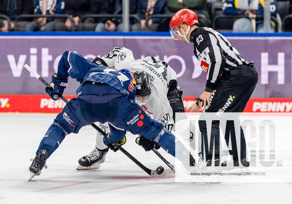 Linesperson David Tschirner fuehrt ein Bully Faceoff aus zwischen Markus Eisenschmid (EHC Red Bull Muenchen, 11) und Julian Chrobot (Grizzlys Wolfsburg, 40). GER, EHC Red Bull Muenchen vs. Grizzlys Wolfsburg, Eishockey, DEL, 32. Spieltag, Saison 2024 2025, 30.12.2024. GER, EHC Red Bull Muenchen vs. Grizzlys Wolfsburg, Eishockey, DEL, 32. Spieltag, Saison 2024 2025, 30.12.2024. Muenchen