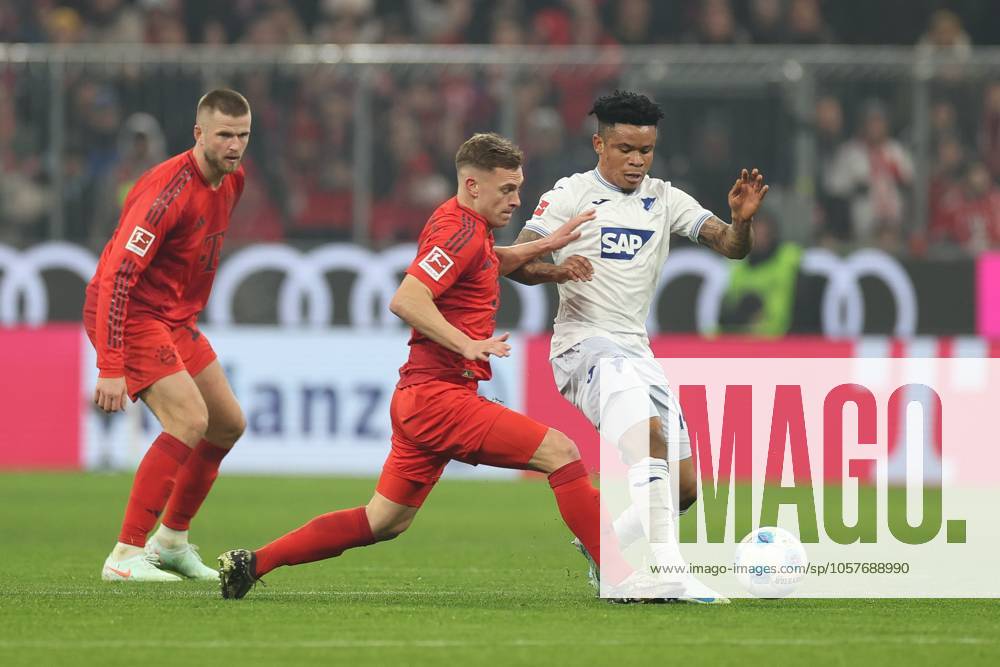 Im Zweikampf, Aktion, mit Joshua Kimmich 6 (FC Bayern Muenchen), Gift Orban 14 (TSG 1899 Hoffenheim), FC Bayern Muenchen vs. TSG 1899 Hoffenheim, Fussball, 1. Bundesliga, 17. Spieltag, 15.01.2025 DFB regulations prohibit any use of photographs as image sequences and or quasi-video Muenchen Bayern Deutschland