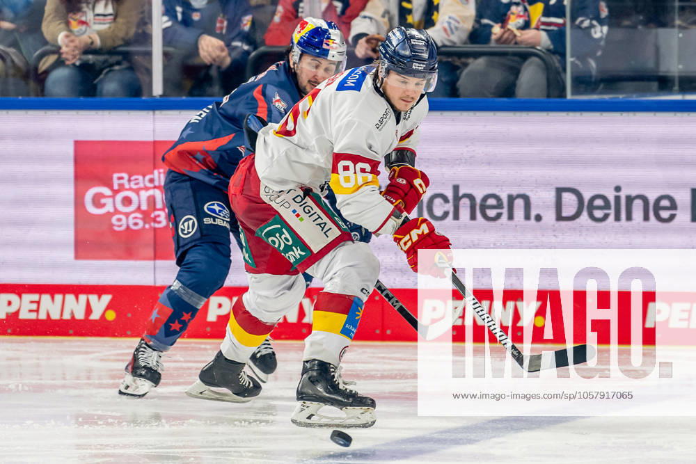 Kampf um den Puck Zweikampf zwischen Taro Hirose (EHC Red Bull Muenchen, 17) und Drake Rymsha (Duesseldorfer EG, 86). GER, EHC Red Bull Muenchen vs. Duesseldorfer EG, Eishockey, DEL, 38. Spieltag, Saison 2024 2025, 19.01.2025. GER, EHC Red Bull Muenchen vs. Duesseldorfer EG, Eishockey, DEL, 38. Spieltag, Saison 2024 2025, 19.01.2025. Muenchen