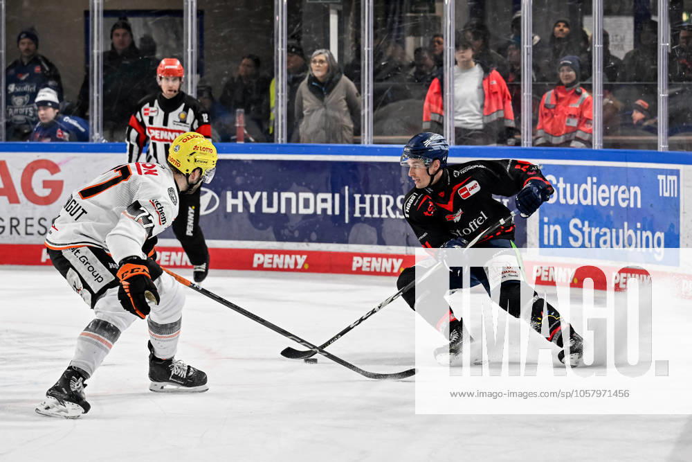 Kampf um den Puck Zweikampf zwischen Daniel Pfaffengut (Loewen Frankfurt, 77) und Justin Braun (Straubing Tigers, 61). GER, Straubing Tigers vs. Loewen Frankfurt, Eishockey, DEL, 38. Spieltag, Saison 2024 2025, 19.01.2025.. GER, Straubing Tigers vs. Loewen Frankfurt, Eishockey, DEL, 38. Spieltag, Saison 2024 2025, 19.01.2025. Straubing