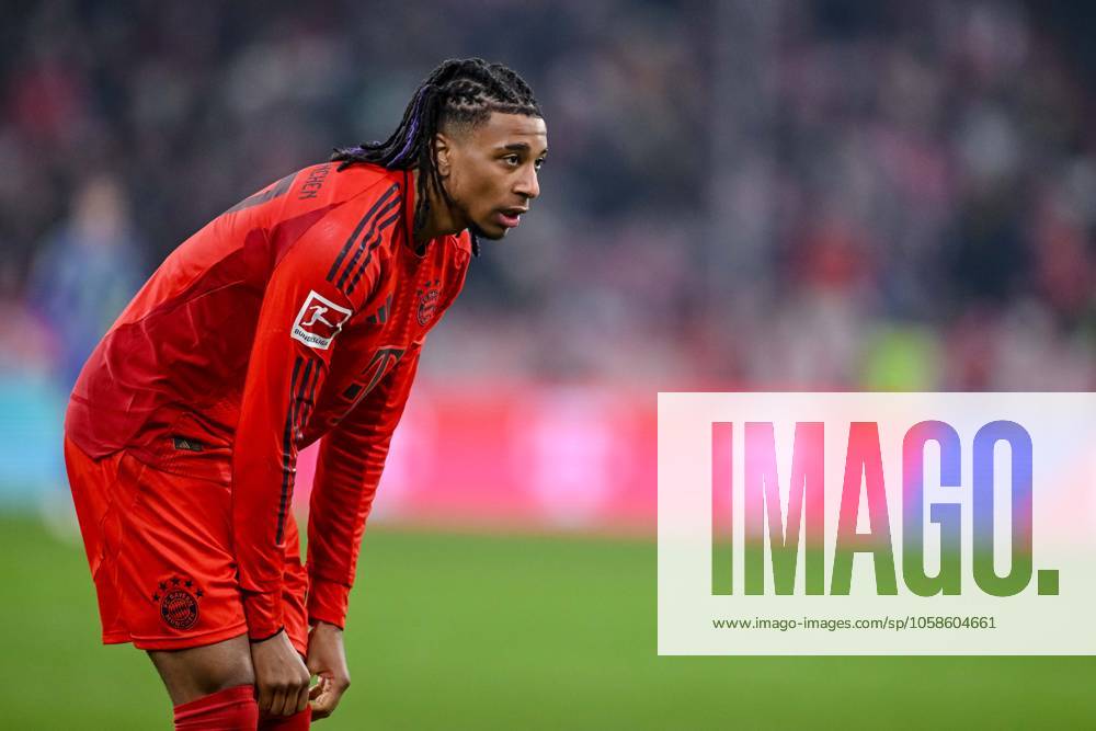 Michael Olise (FC Bayern Muenchen) Schaut waehrend des Spiels der 1. Bundesliga zwischen FC Bayern München und SV Werder Bremen, Allianz Arena am 07. February 2025 in München, Deutschland. (Foto von Harry Langer DeFodi Images) +++ Michael Olise (FC Bayern Muenchen) Looks on during the Bundesliga match between FC Bayern München and SV Werder Bremen at Allianz Arena on February 7, 2025 in Munich, Germany. (Photo by Harry Langer DeFodi Images) DFL regulations prohibit any use of photographs as image sequences and or quasi-video. (Photo by Harry Langer DeFodi Images) DFL regulations prohibit any use of photographs as image sequences and or quasi-video. Defodi-541_FCBSVW20250207_121