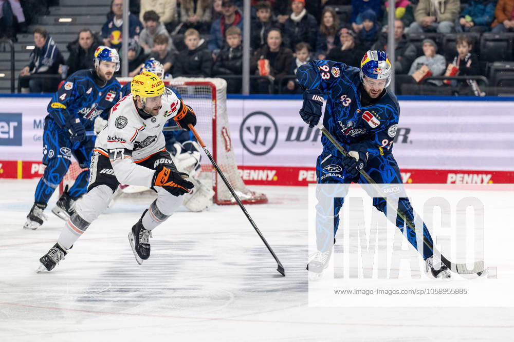 Kampf um den Puck Zweikampf zwischen Daniel Pfaffengut (Loewen Frankfurt, 77) und Maximilian Kastner (EHC Red Bull Muenchen, 93). GER, EHC Red Bull Muenchen vs. Loewen Frankfurt, Eishockey, DEL, 45. Spieltag, Saison 2024 2025, 16.02.2025. GER, EHC Red Bull Muenchen vs. Loewen Frankfurt, Eishockey, DEL, 45. Spieltag, Saison 2024 2025, 16.02.2025. Muenchen