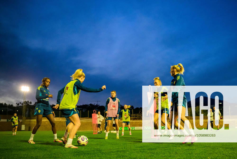 Players of Sweden during a training session with the women s national football team of Sweden on February 17, 2025 in Marbella. Photo: Ludvig Thunman BILDBYRAN kod LT LT0676 fotboll football soccer fotball träning practice training sverige sweden dam bbeng