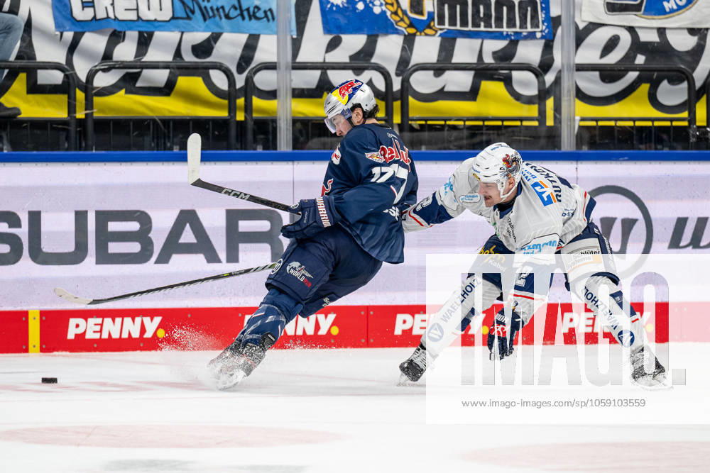 Kampf um den Puck Zweikampf zwischen Taro Hirose (EHC Red Bull Muenchen, 17) und Maciej Rutkowski (Iserlohn Roosters, 12). GER, EHC Red Bull Muenchen vs. Iserlohn Roosters, Eishockey, DEL, 47. Spieltag, Saison 2024 2025, 21.02.2025. GER, EHC Red Bull Muenchen vs. Iserlohn Roosters, Eishockey, DEL, 47. Spieltag, Saison 2024 2025, 21.02.2025. Muenchen