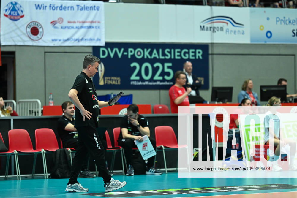 Alexander Waibl (Cheftrainer Dresdner SC) Dresdner SC vs. Ladies in Black Aachen, 1. Volleyball Bundesliga Frauen, Spielzeit 2024 2025, 08.03.2025 Dresdner SC vs. Ladies in Black Aachen, 1. Volleyball Bundesliga Frauen, Spielzeit 2024 2025, 08.03.2025 Dresden