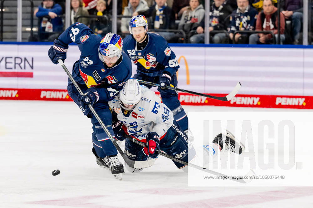Kampf um den Puck Zweikampf zwischen Maximilian Kastner (EHC Red Bull Muenchen, 93) und Lukas Kaelble (Adler Mannheim, 49). GER, EHC Red Bull Muenchen vs. Adler Mannheim, Eishockey, DEL, Playoffs, Viertelfinale Spiel 2, Saison 2024 2025, 19.03.2025. GER, EHC Red Bull Muenchen vs. Adler Mannheim, Eishockey, DEL, Playoffs, Viertelfinale Spiel 2, Saison 2024 2025, 19.03.2025. Muenchen