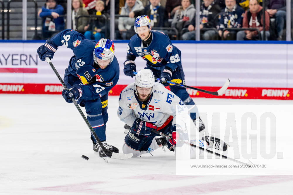 Kampf um den Puck Zweikampf zwischen Maximilian Kastner (EHC Red Bull Muenchen, 93) und Lukas Kaelble (Adler Mannheim, 49). GER, EHC Red Bull Muenchen vs. Adler Mannheim, Eishockey, DEL, Playoffs, Viertelfinale Spiel 2, Saison 2024 2025, 19.03.2025. GER, EHC Red Bull Muenchen vs. Adler Mannheim, Eishockey, DEL, Playoffs, Viertelfinale Spiel 2, Saison 2024 2025, 19.03.2025. Muenchen