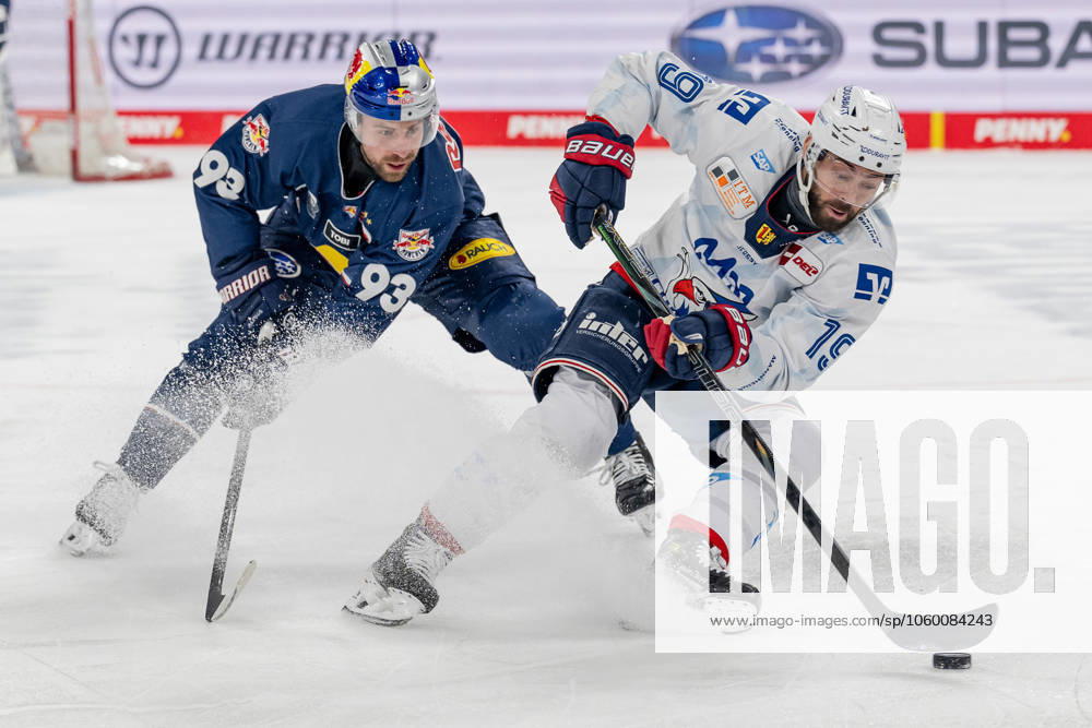 Kampf um den Puck Zweikampf zwischen Maximilian Kastner (EHC Red Bull Muenchen, 93) und Luke Esposito (Adler Mannheim, 19). GER, EHC Red Bull Muenchen vs. Adler Mannheim, Eishockey, DEL, Playoffs, Viertelfinale Spiel 2, Saison 2024 2025, 19.03.2025. GER, EHC Red Bull Muenchen vs. Adler Mannheim, Eishockey, DEL, Playoffs, Viertelfinale Spiel 2, Saison 2024 2025, 19.03.2025. Muenchen