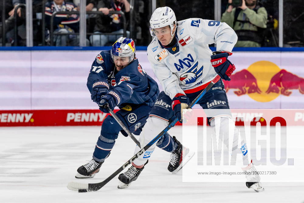 Kampf um den Puck Zweikampf zwischen Taro Hirose (EHC Red Bull Muenchen, 17) und Leon Gawanke (Adler Mannheim, 9). GER, EHC Red Bull Muenchen vs. Adler Mannheim, Eishockey, DEL, Playoffs, Viertelfinale Spiel 4, Saison 2024 2025, 23.03.2025. GER, EHC Red Bull Muenchen vs. Adler Mannheim, Eishockey, DEL, Playoffs, Viertelfinale Spiel 4, Saison 2024 2025, 23.03.2025. Muenchen